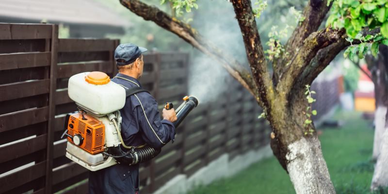 Exterminator in Fayette County, Georgia