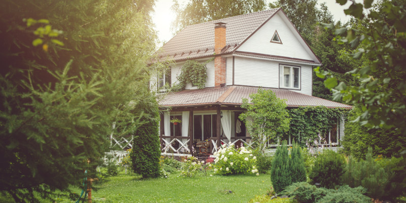 Wildlife Removal in Carroll County, Georgia