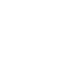 Ants